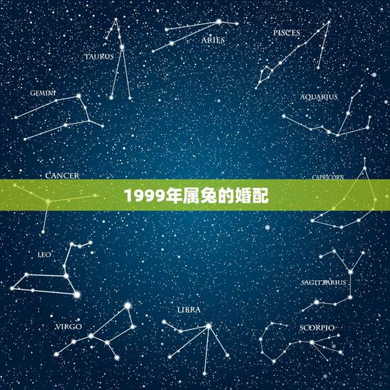 1999年属兔的婚配,1999年男属兔婚配最配 1999年属兔的婚配,1999年男属兔婚配最配