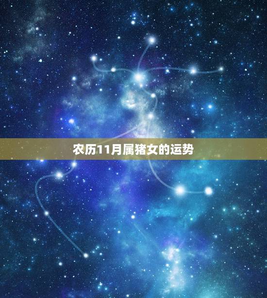农历11月属猪女的运势,11月份属猪的财运如何 农历11月属猪女的运势,11月份属猪的财运如何