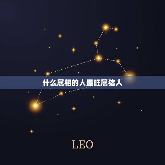 什么属相的人最旺属猪人，属猪的和什么属相合作最好