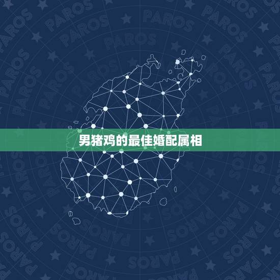 男猪鸡的最佳婚配属相,男属鸡与属什么相配 男猪鸡的最佳婚配属相,男属鸡与属什么相配
