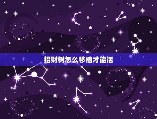 招财树怎么移植才能活,发财树怎么移栽 招财树怎么移植才能活,发财树怎么移栽