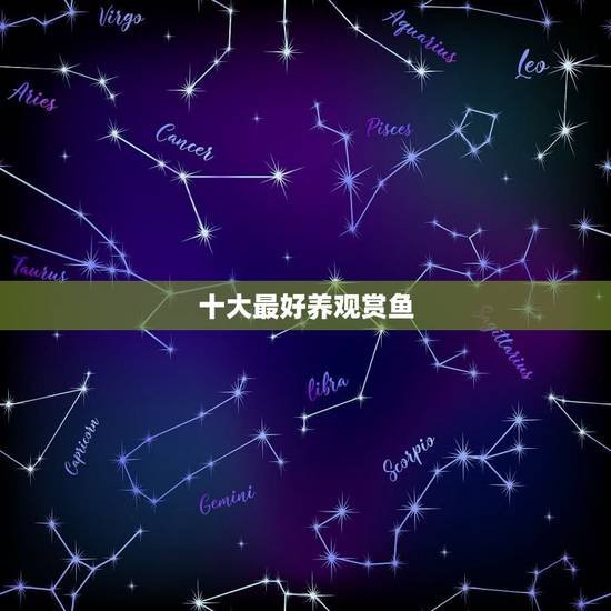 十大最好养观赏鱼，什么观赏鱼最好养活