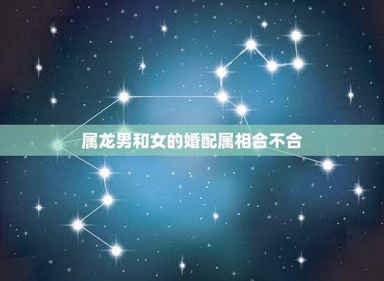 属龙男和女的婚配属相合不合,属相婚配:男属龙和女属兔相配吗? 属龙男和女的婚配属相合不合,属相婚配:男属龙和女属兔相配吗?