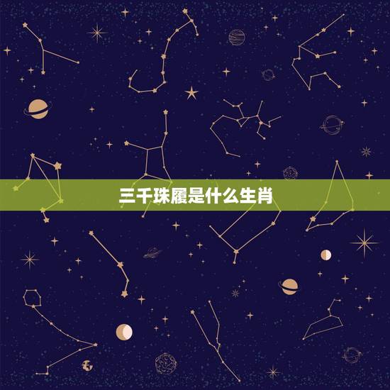 三千珠履是什么生肖,三千珠履。猜一生肖 三千珠履是什么生肖,三千珠履。猜一生肖