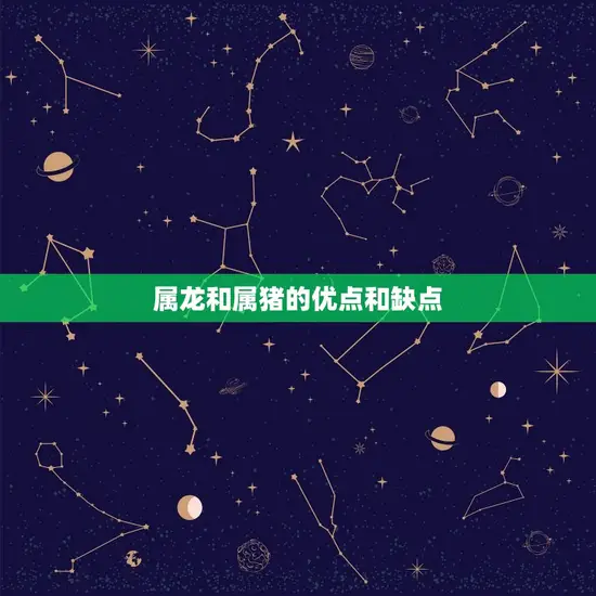 属龙和属猪的优点和缺点
