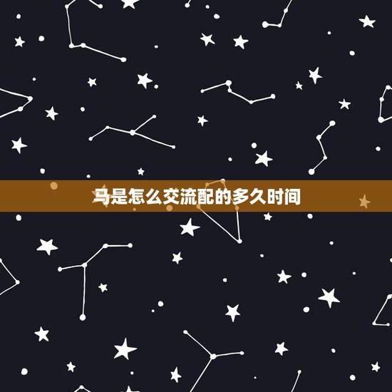 马是怎么交流配的多久时间，马和人能配对成功吗