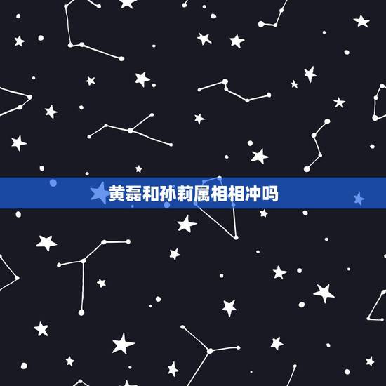 黄磊和孙莉属相相冲吗,黄磊和孙莉之间的感情假吗? 黄磊和孙莉属相相冲吗,黄磊和孙莉之间的感情假吗?