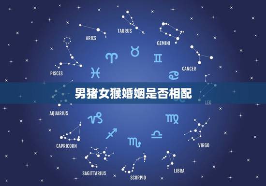男猪女猴婚姻是否相配，属相婚配 女猴和男猪好不好