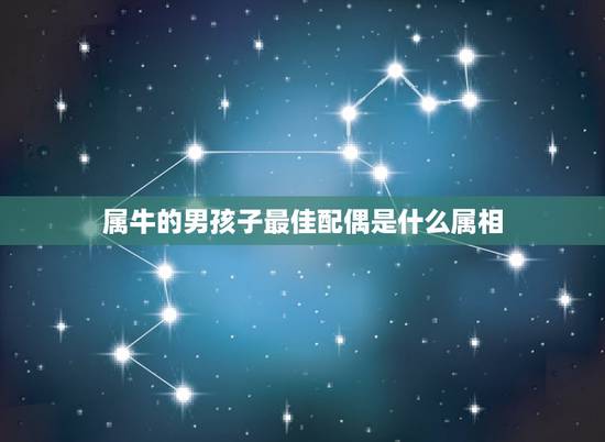 属牛的男孩子最佳配偶是什么属相,请问!属牛的最佳配偶是什么属相? 属牛的男孩子最佳配偶是什么属相,请问!属牛的最佳配偶是什么属相?