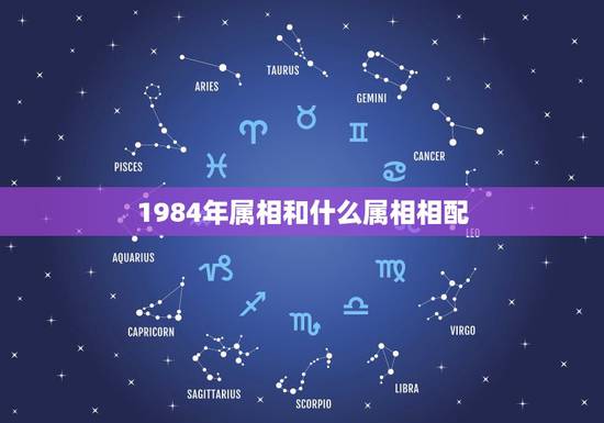 1984年属相和什么属相相配,84属鼠的和什么属相最配 1984年属相和什么属相相配,84属鼠的和什么属相最配
