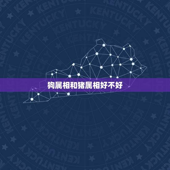狗属相和猪属相好不好，狗跟猪属相是不是不合