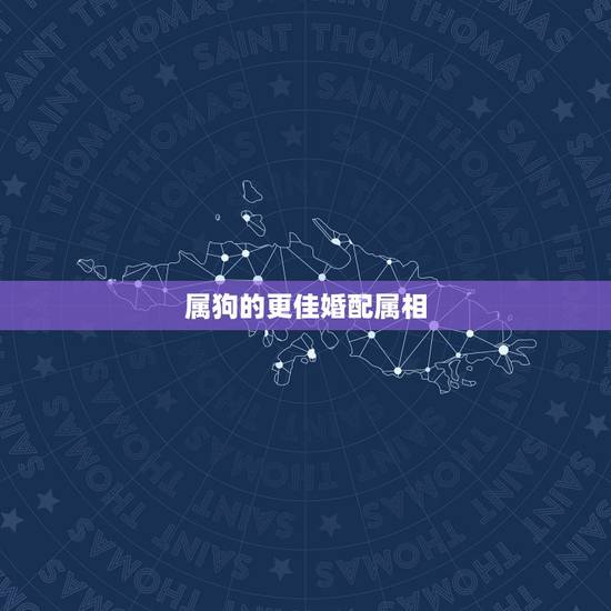属狗的更佳婚配属相,属兔人更佳婚配属相 属狗的更佳婚配属相,属兔人更佳婚配属相