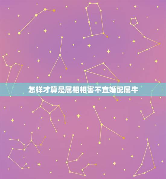 怎样才算是属相相害不宜婚配属牛，属牛的和哪个生肖最和？