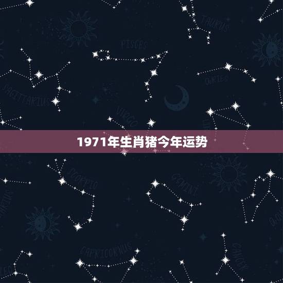 1971年生肖猪今年运势,1971年猪女一生运势 1971年生肖猪今年运势,1971年猪女一生运势