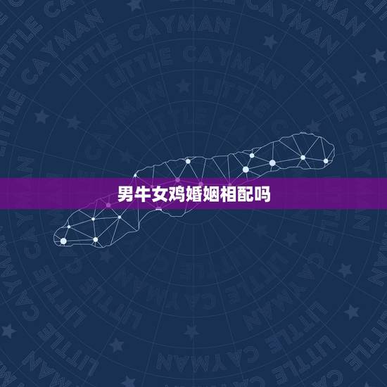 男牛女鸡婚姻相配吗,男马女鸡婚配好吗 男牛女鸡婚姻相配吗,男马女鸡婚配好吗
