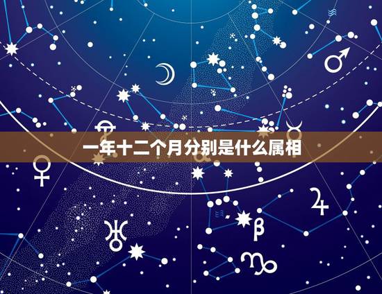 一年十二个月分别是什么属相，为什么一年有12个月，为什么一共有12个生