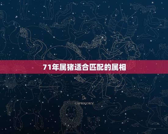 71年属猪适合匹配的属相，请问71年属猪和哪个属相配