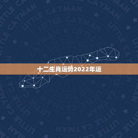 十二生肖运势2022年运,十二生肖运势2022年运程 十二生肖运势2022年运,十二生肖运势2022年运程