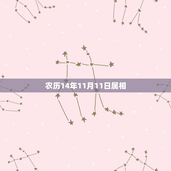 农历14年11月11日属相,2014年属马阴历11月11日亥时出生五行 农历14年11月11日属相,2014年属马阴历11月11日亥时出生五行