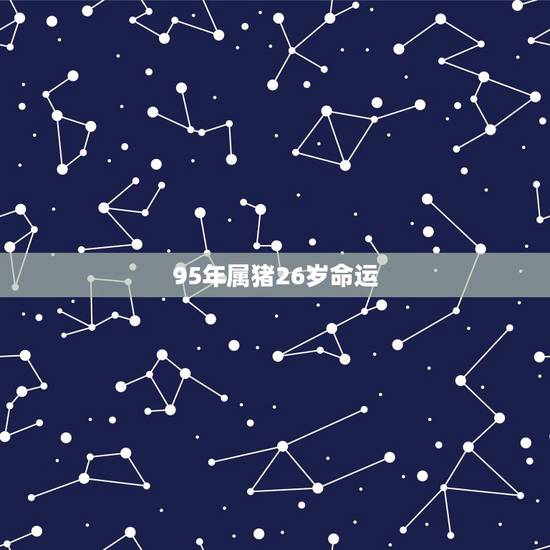 95年属猪26岁命运,属猪2022 年适合单干不 95年属猪26岁命运,属猪2022 年适合单干不