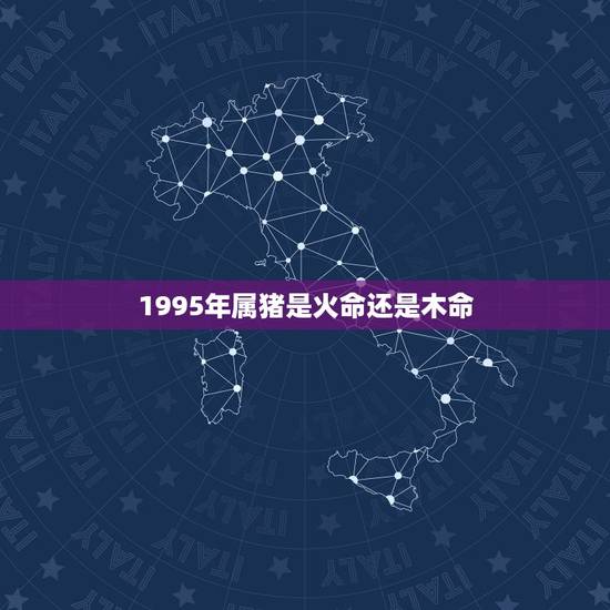 1995年属猪是火命还是木命，95年属猪的是什么命