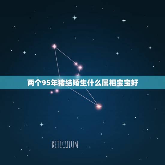 两个95年猪结婚生什么属相宝宝好，95年属猪的婚配和什么属相最好
