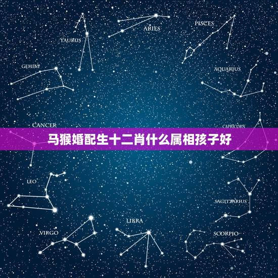 马猴婚配生十二肖什么属相孩子好,猴跟马的属相要什么属相的孩子好 马猴婚配生十二肖什么属相孩子好,猴跟马的属相要什么属相的孩子好