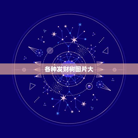 各种发财树图片大,发财树有几种图片? 各种发财树图片大,发财树有几种图片?