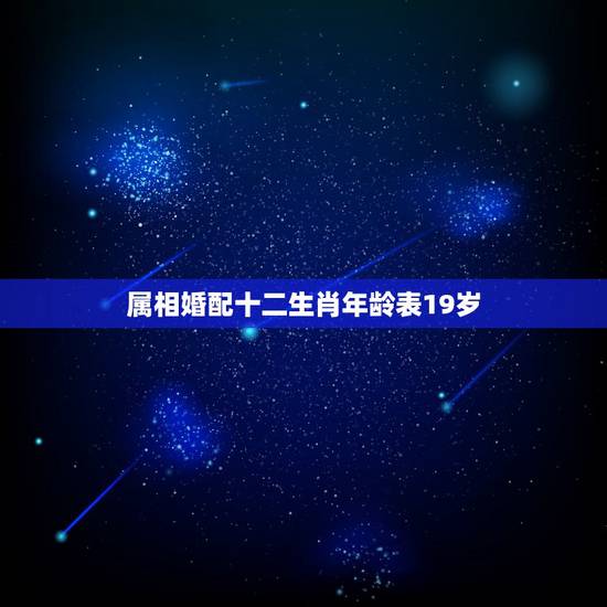 属相婚配十二生肖年龄表19岁，属猪的19和什么年龄的属相相合