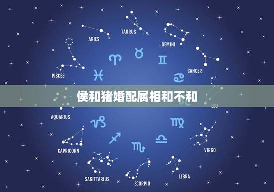 侯和猪婚配属相和不和，属猴的和属猪的合不合