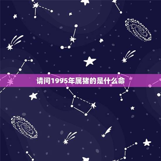 请问1995年属猪的是什么命，属猪1995年生什么命