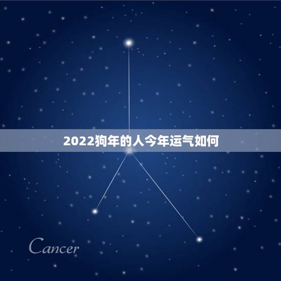 2022狗年的人今年运气如何，2022年属狗的运气
