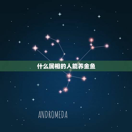 什么属相的人能养金鱼,什么人适合养鱼 什么属相的人能养金鱼,什么人适合养鱼