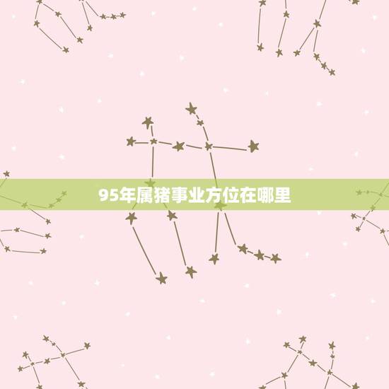 95年属猪事业方位在哪里，属猪在的最吉工作方位