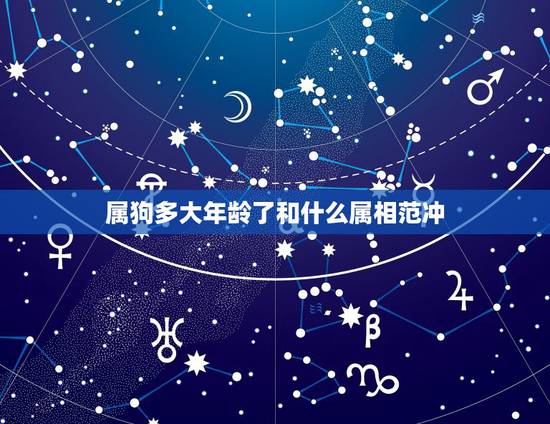 属狗多大年龄了和什么属相范冲,2022 属狗年龄查询表 属狗多大年龄了和什么属相范冲,2022 属狗年龄查询表