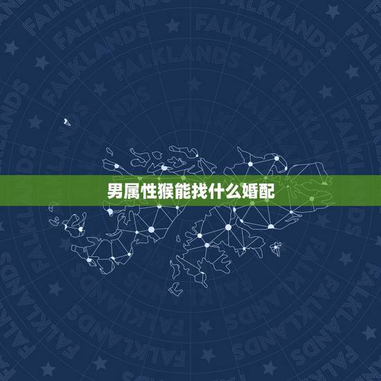 男属性猴能找什么婚配,属猴的和什么属相最相配 12属相婚配表 男属性猴能找什么婚配,属猴的和什么属相最相配 12属相婚配表