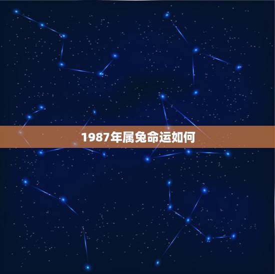 1987年属兔命运如何，68年属猴的2022年的运气咋样