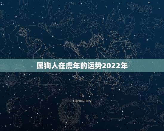属狗人在虎年的运势2022年，属虎2022年运势完整版