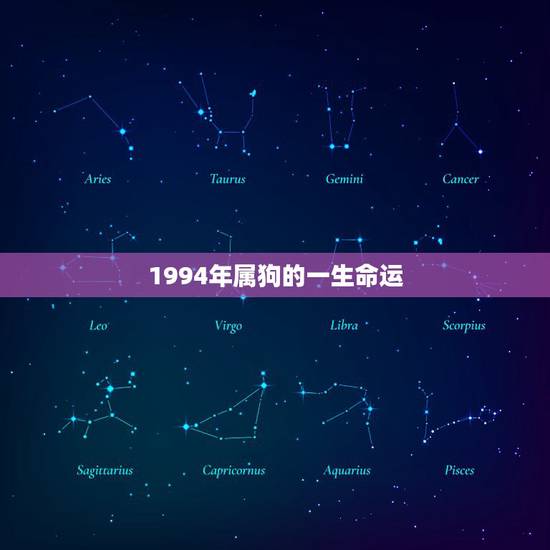 1994年属狗的一生命运，94属狗男一生事业运势