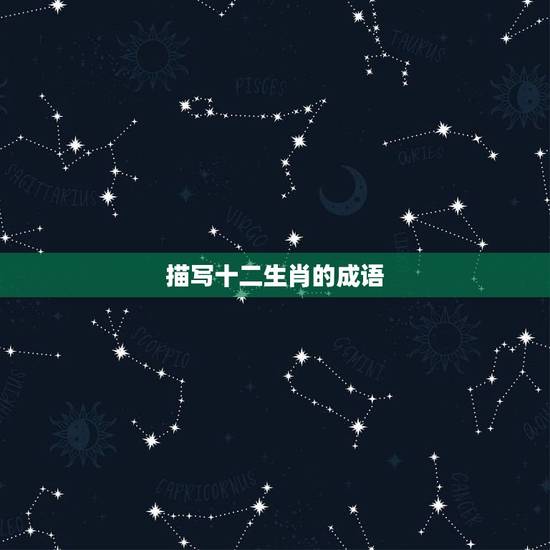 描写十二生肖的成语，形容十二生肖的成语