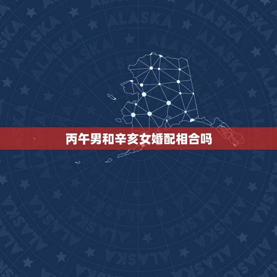 丙午男和辛亥女婚配相合吗，合婚图里男命女命什么意思