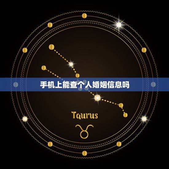 手机上能查个人婚姻信息吗,个人婚姻状况查询系统怎么查 手机上能查个人婚姻信息吗,个人婚姻状况查询系统怎么查