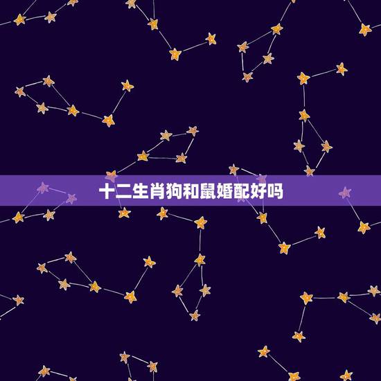 十二生肖狗和鼠婚配好吗,男属狗和女属鼠相配婚姻如何 十二生肖狗和鼠婚配好吗,男属狗和女属鼠相配婚姻如何
