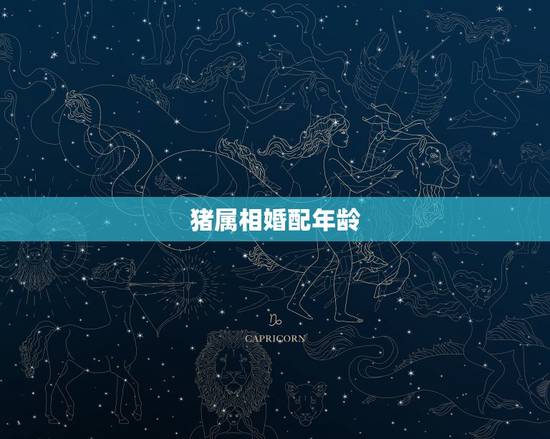 猪属相婚配年龄，属相婚配表之属猪的和什么属相最配
