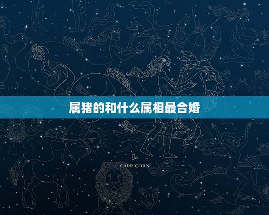 属猪的和什么属相最合婚,男属虎的和什么属相最配 属猪的和什么属相最合婚,男属虎的和什么属相最配