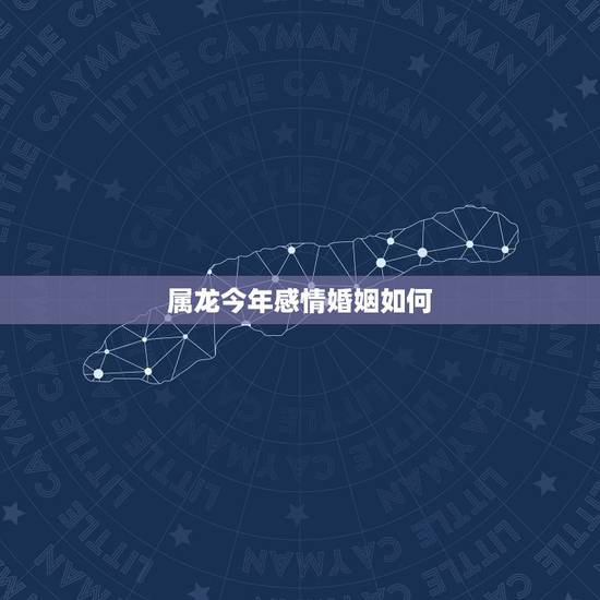 属龙今年感情婚姻如何，2022 年属龙感情婚姻咋样