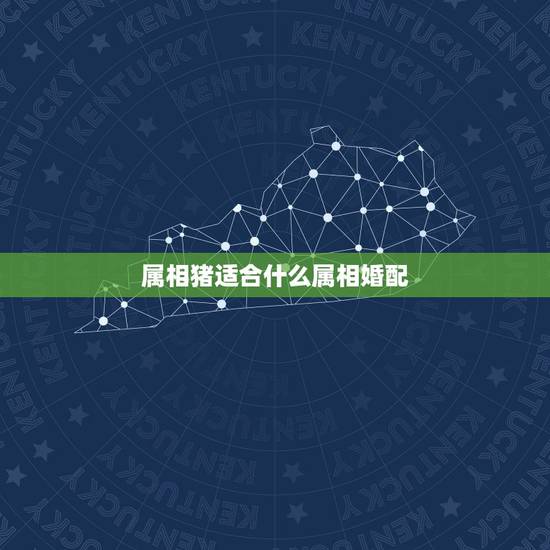 属相猪适合什么属相婚配,属猪配什么属相最合适 属相猪适合什么属相婚配,属猪配什么属相最合适