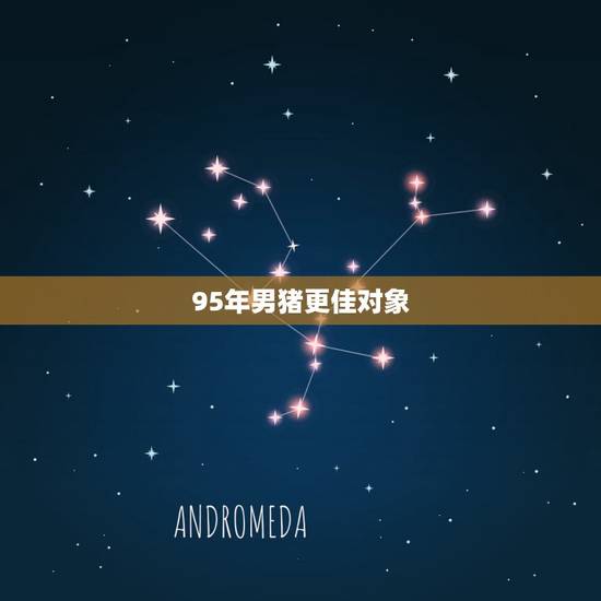 95年男猪更佳对象，95年属猪男更佳配偶
