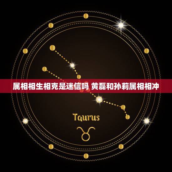 属相相生相克是迷信吗 黄磊和孙莉属相相冲
