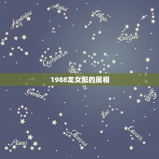 1988龙女配的属相，1988年女龙狮子座和什么生肖最配